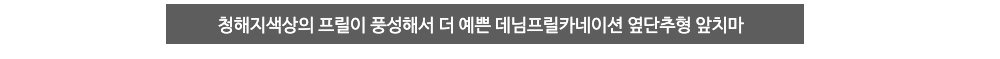 드레스 -S1L6
